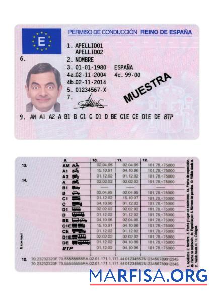 Blank Spain driving license version 2 example
